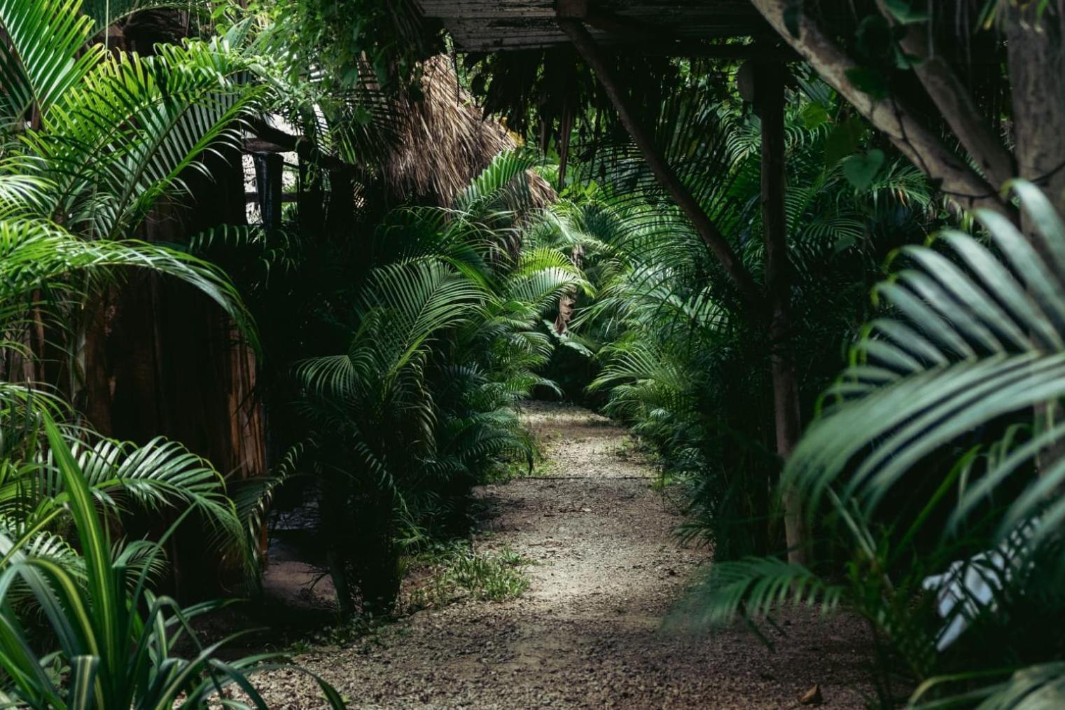 Bungalows India, El Valle, Samana 외부 사진